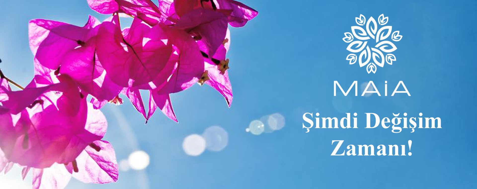 Şimdi Değişim Zamanı